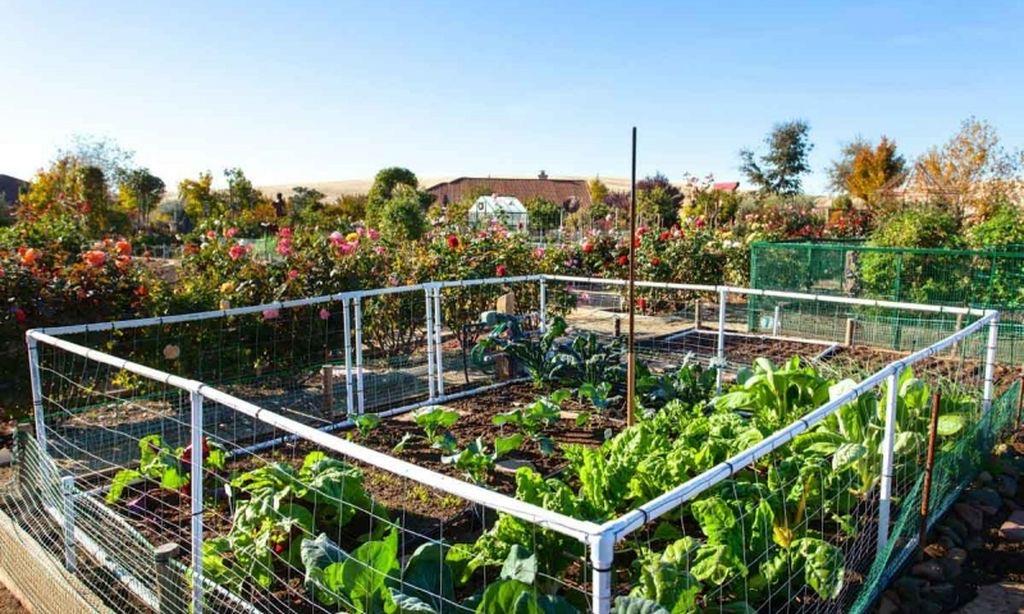 1010 Autumn Trail Way