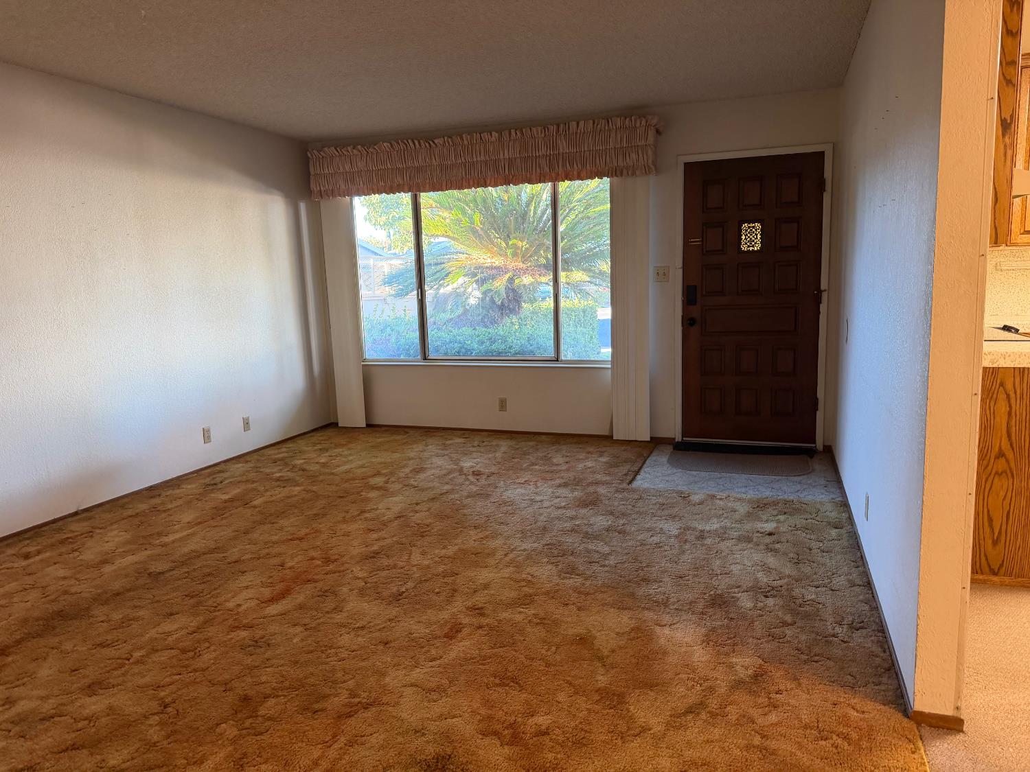 1024 Wilma Court