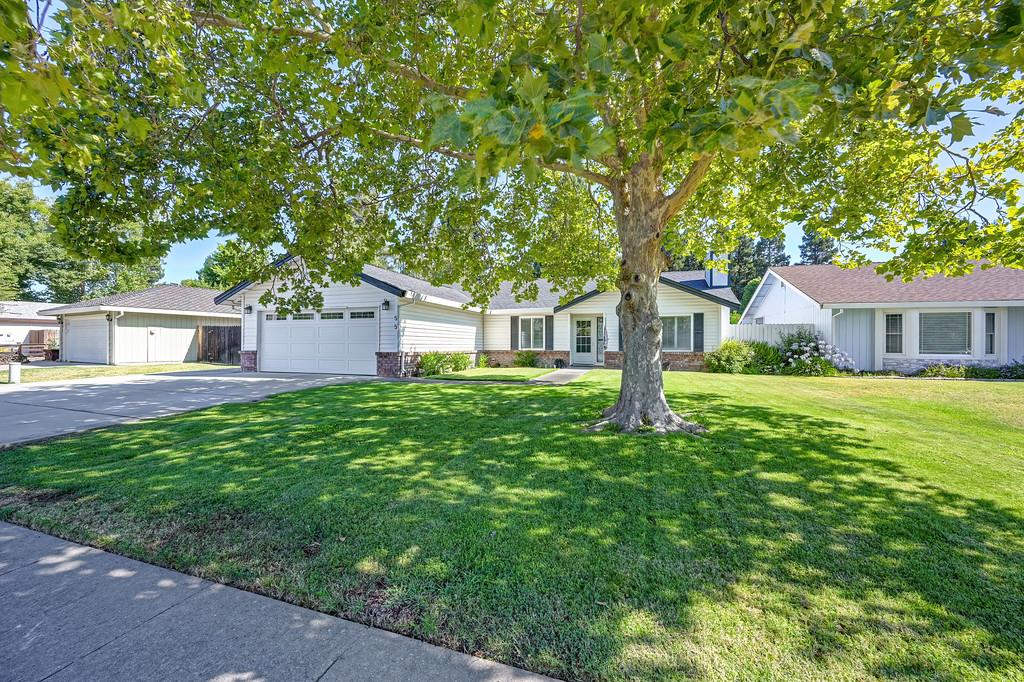 55 Bingham Circle