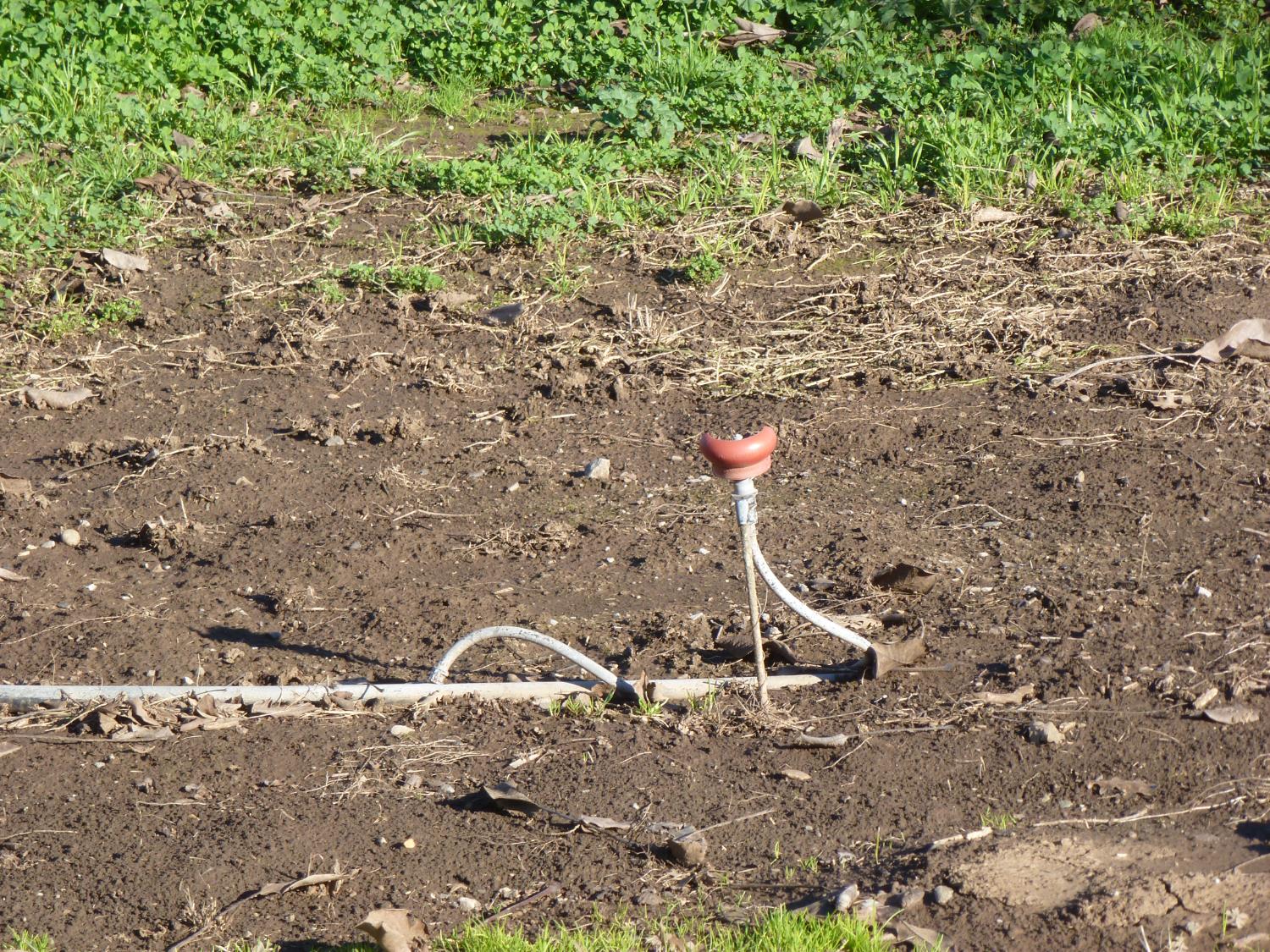 4810 N Braghetta Road