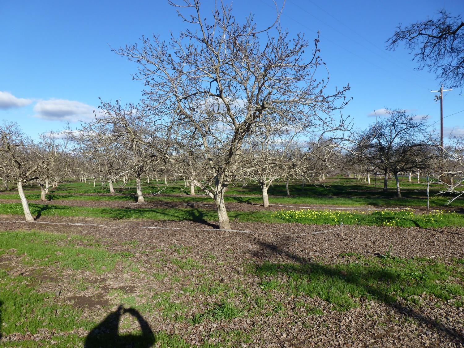 4810 N Braghetta Road