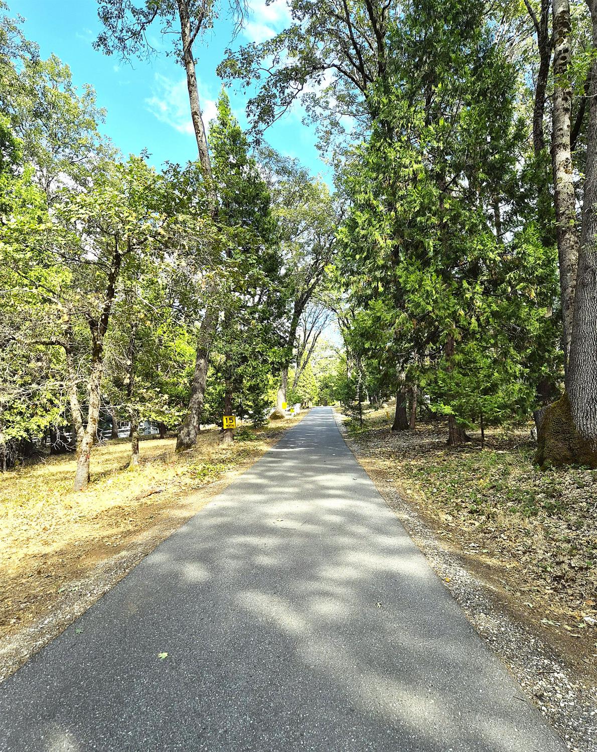 13117 Madrone Forest Drive