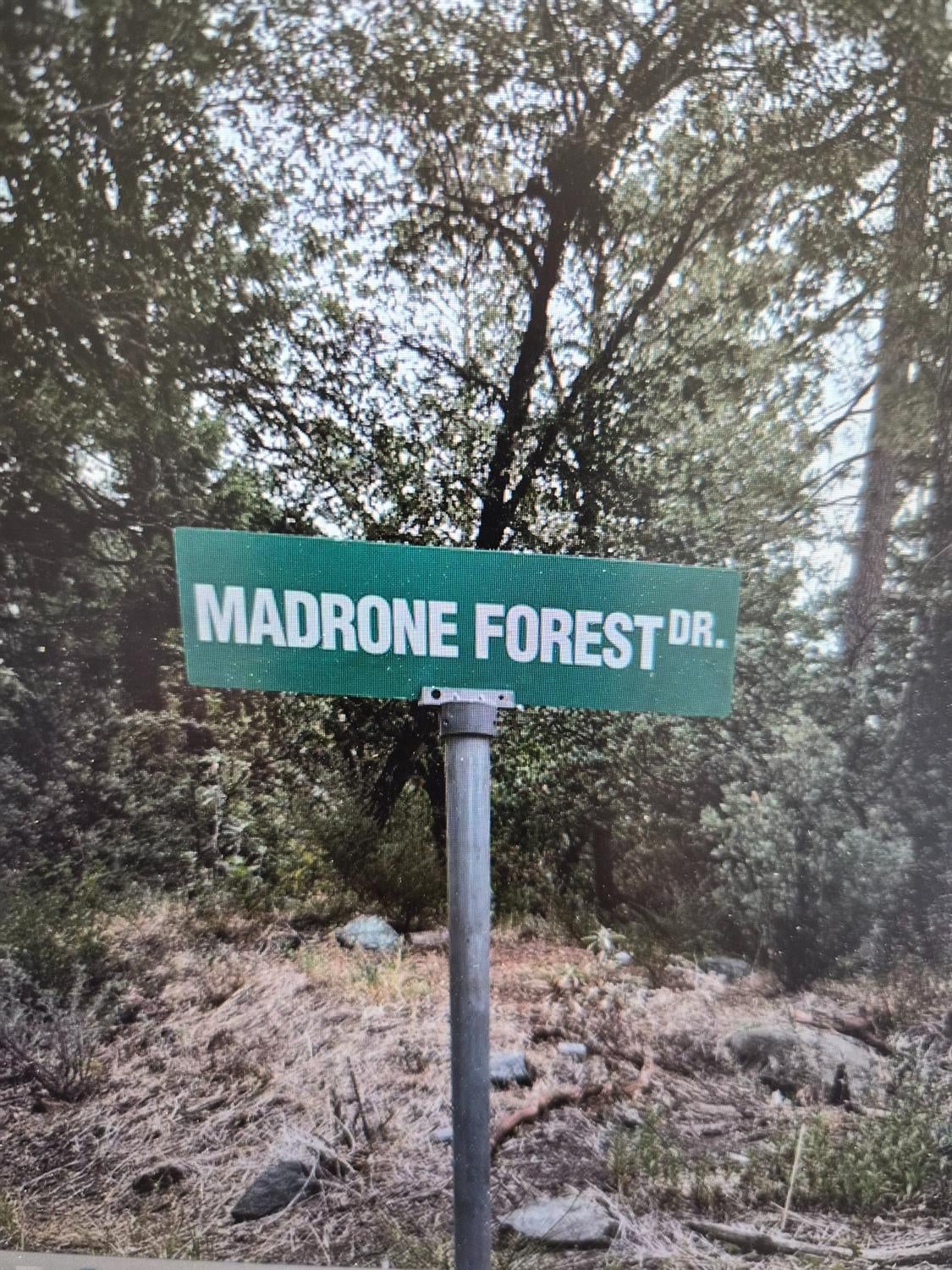 13117 Madrone Forest Drive