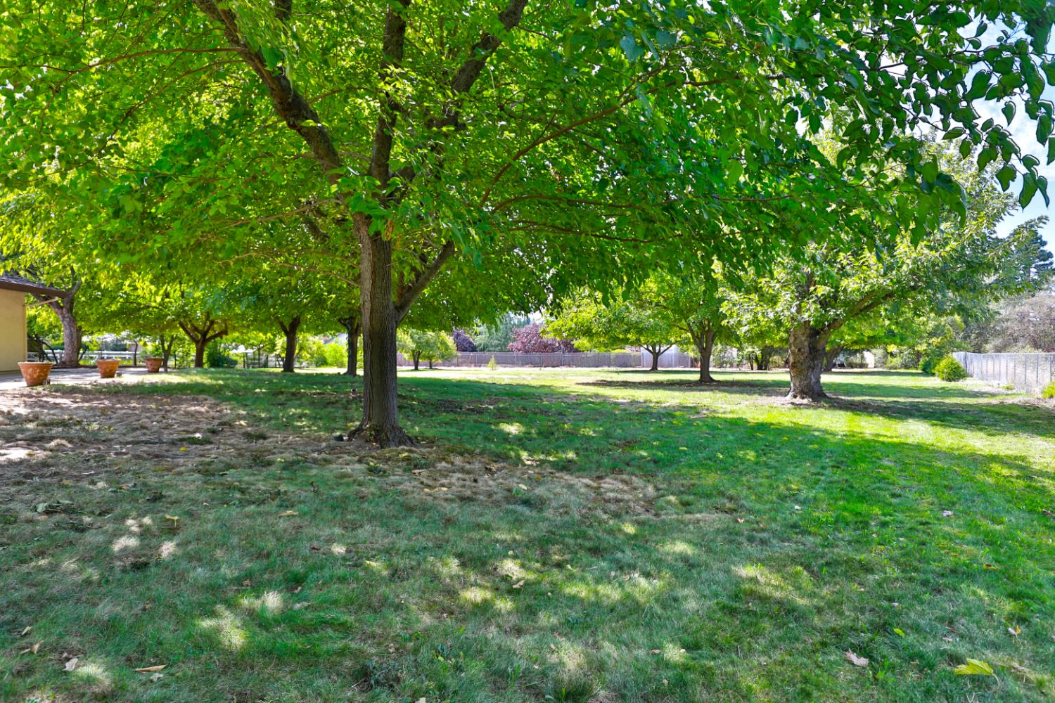 9695 Oak Leaf Way