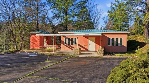 1005 Fowler Way Placerville CA 95667