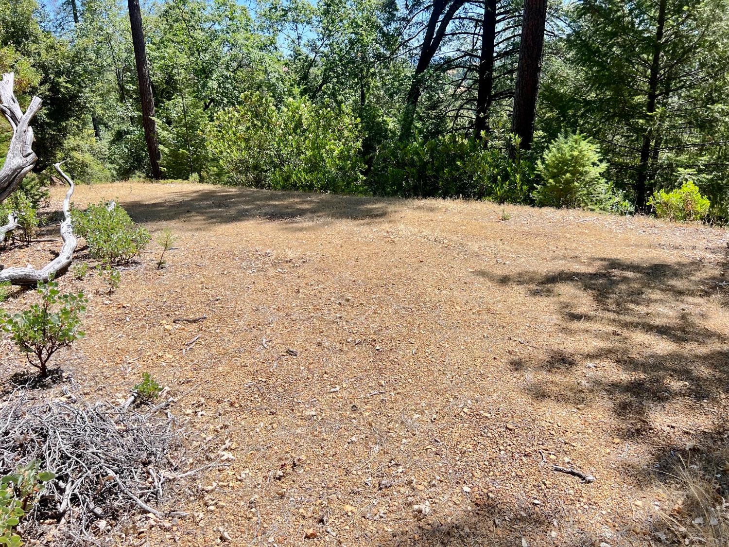 0 Live Oak Road