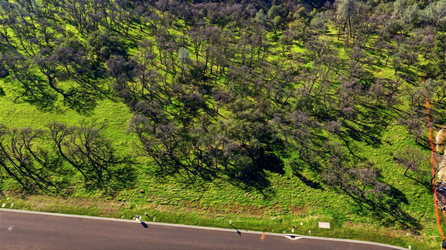 6594 Western Sierra Way