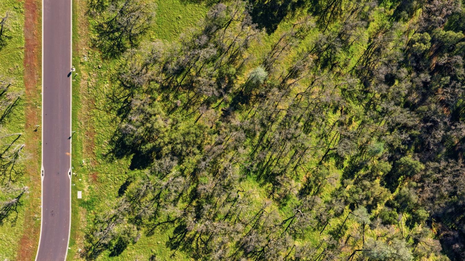 6594 Western Sierra Way