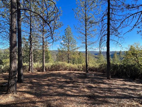 MLS: 225058137