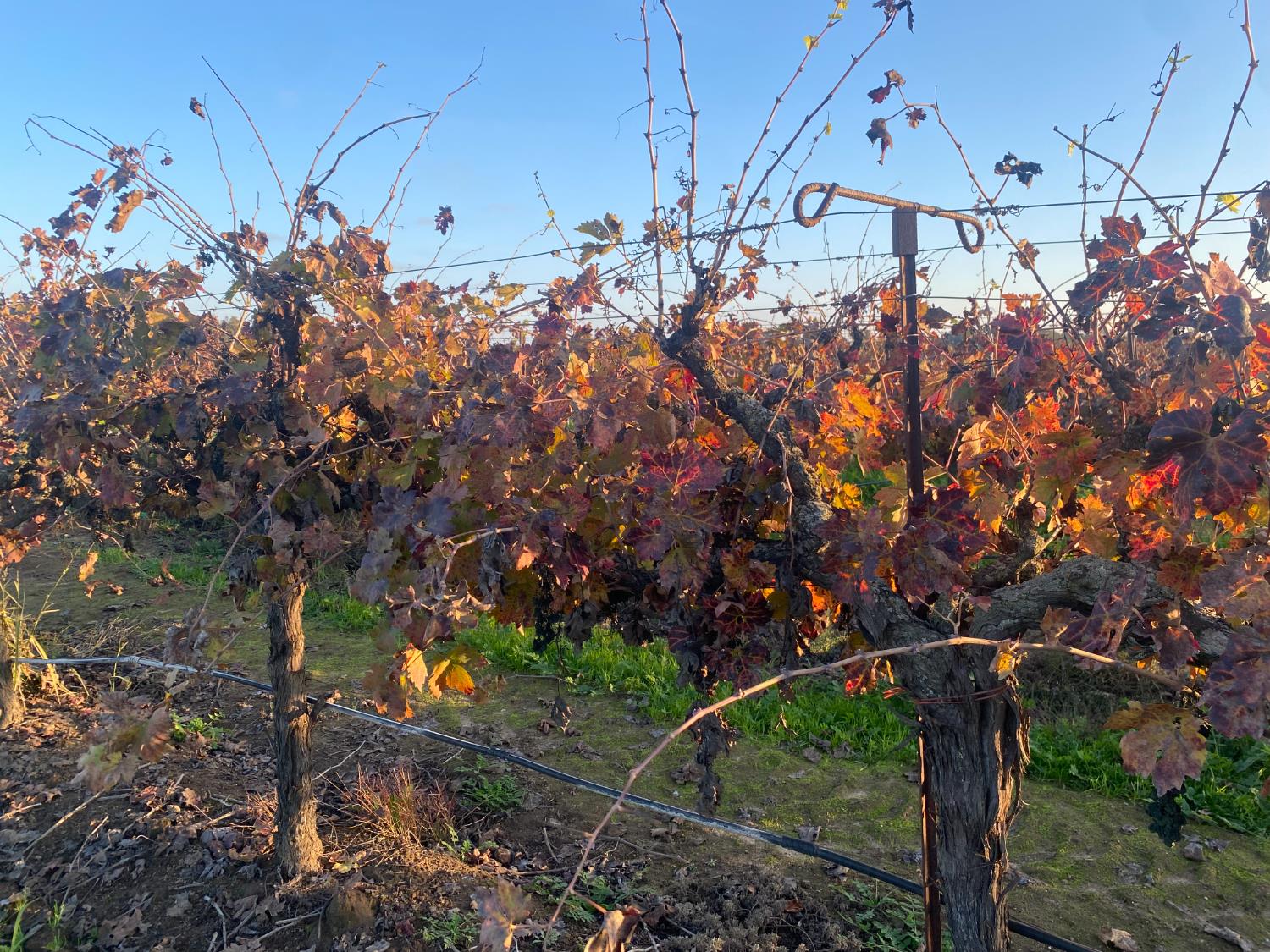 2060 W Woodbridge Road