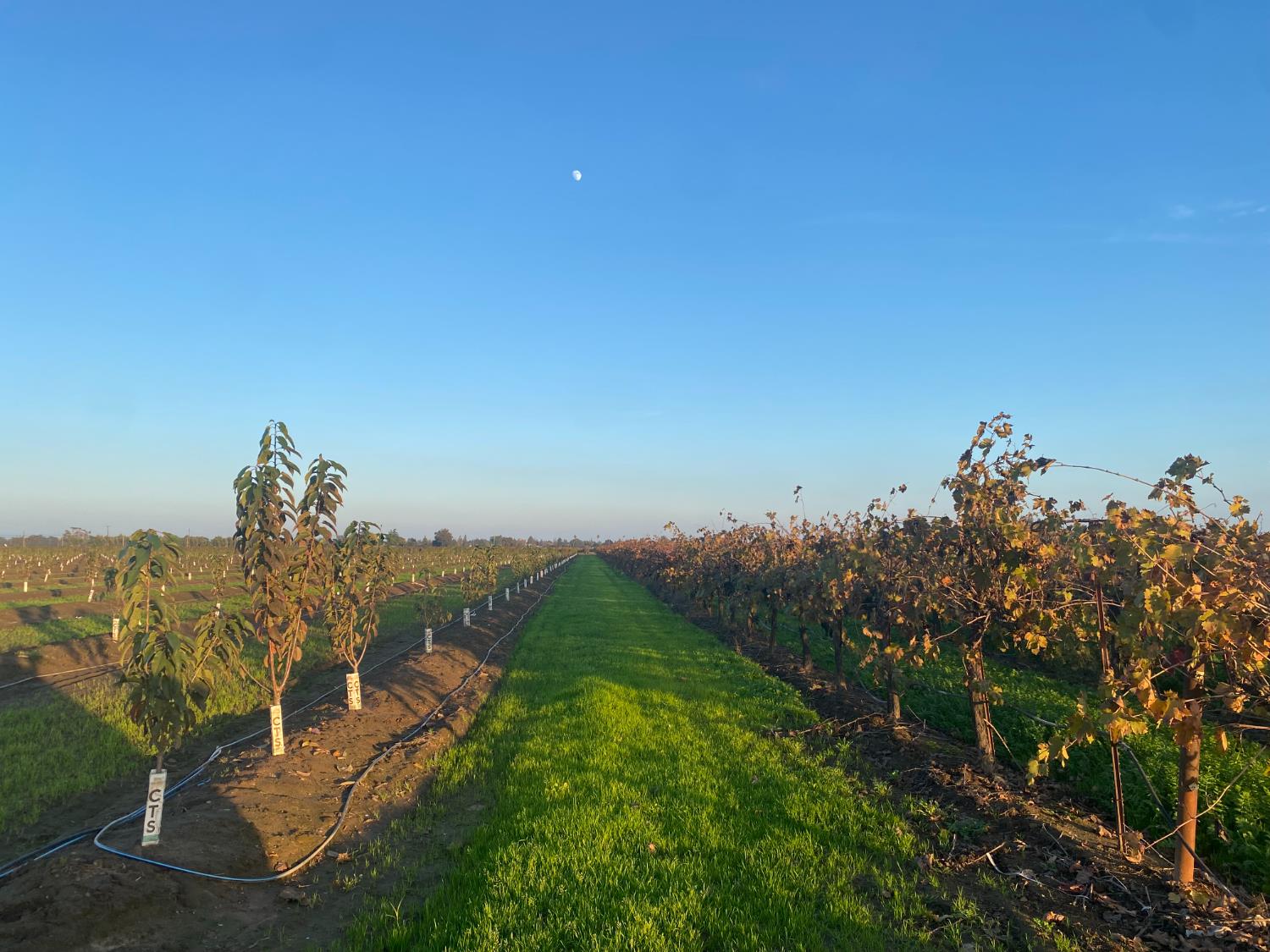 2060 W Woodbridge Road