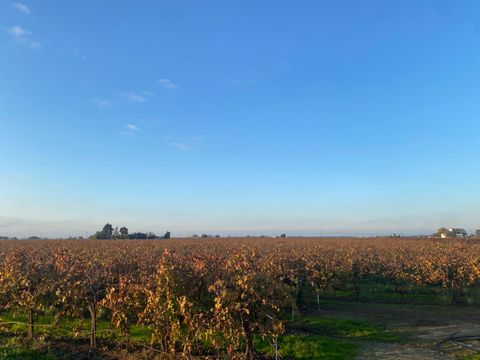 2060 W Woodbridge Road Lodi CA 95242