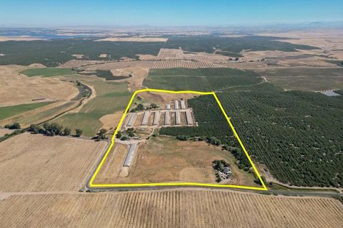 MLS: 224099907