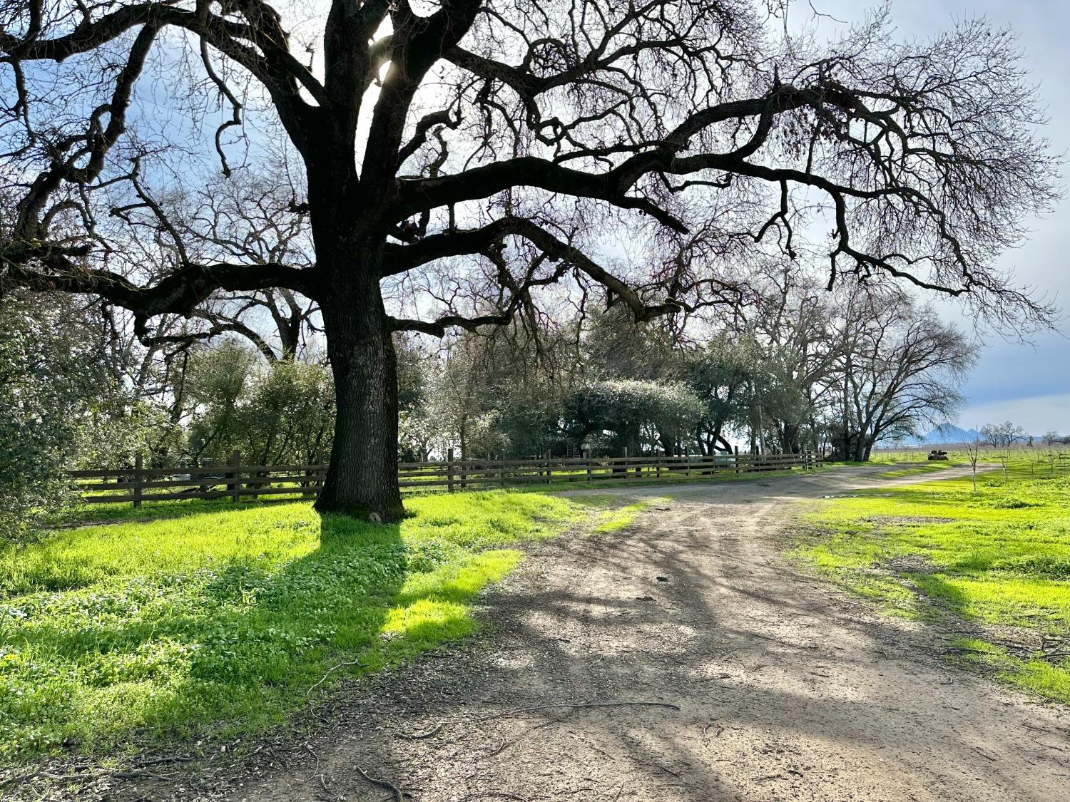 770 Ramirez Road