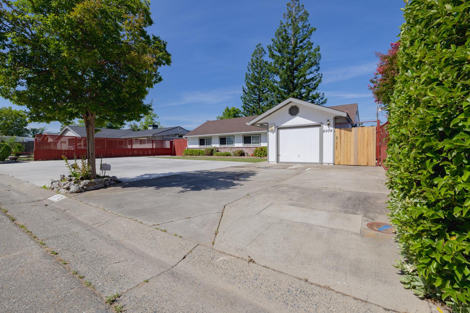 2009 Terrace Drive