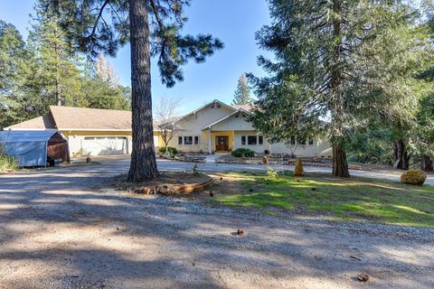 24200 Golden Ridge Drive Volcano CA 95689