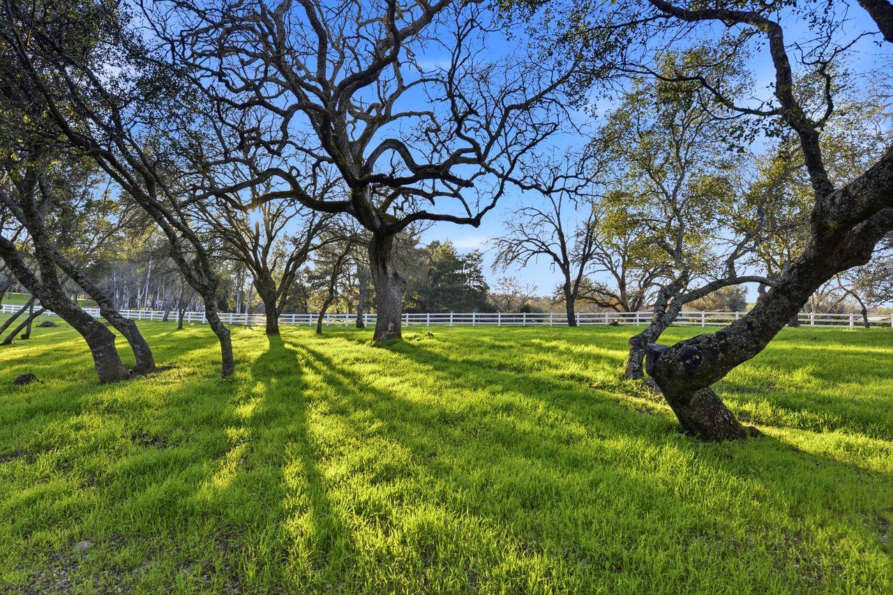 1900 Deer Valley Road