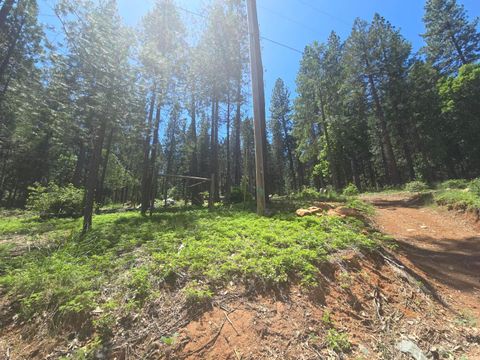 12181 Robust Way Nevada City CA 95959