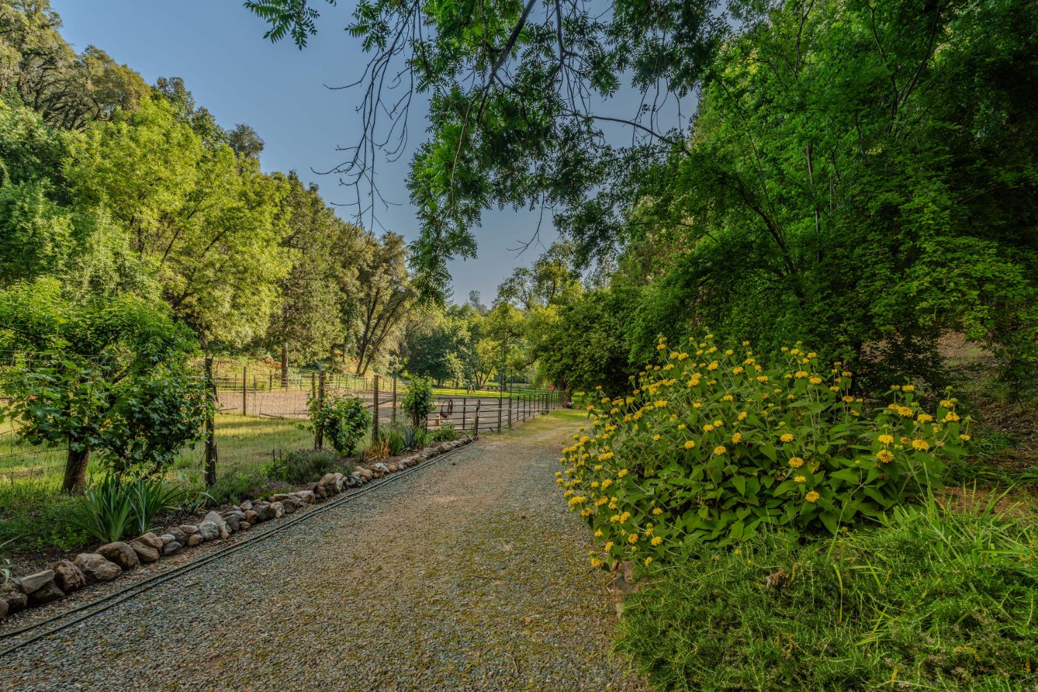 20100 Black Oak Drive