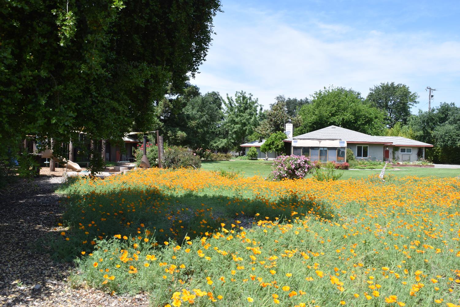26738 County Road 98