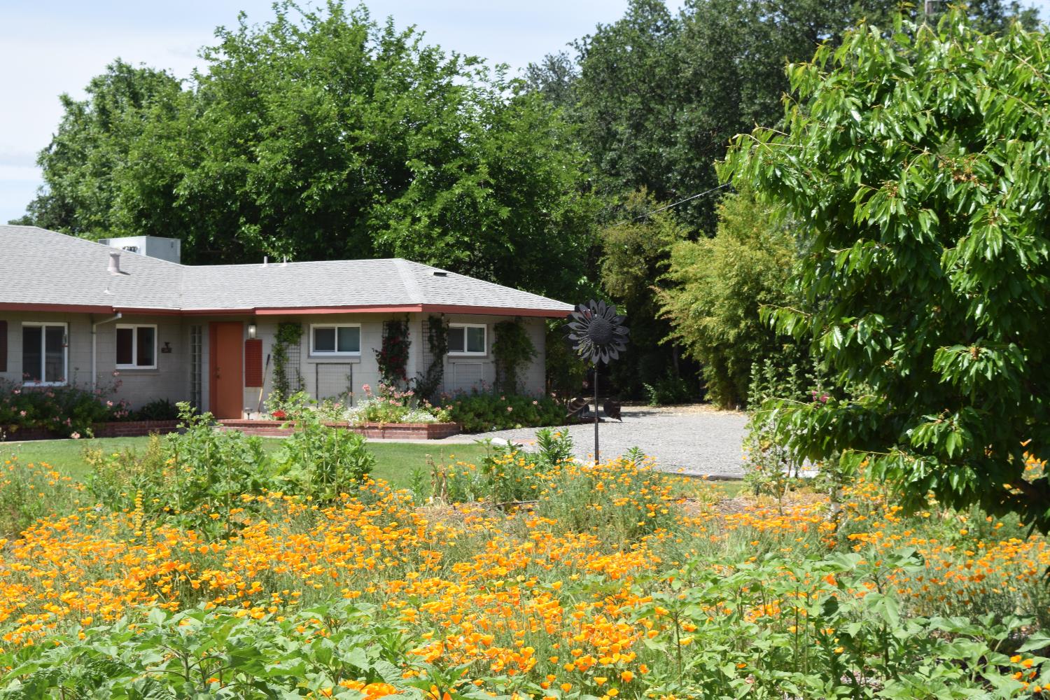 26738 County Road 98