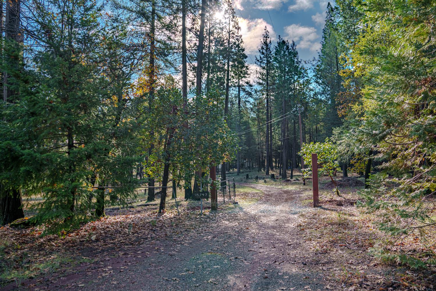 15747 Frenchtown Road