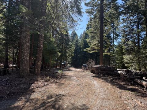 MLS: 225063544