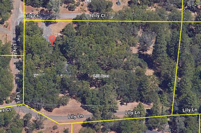 3695 Lily Lane