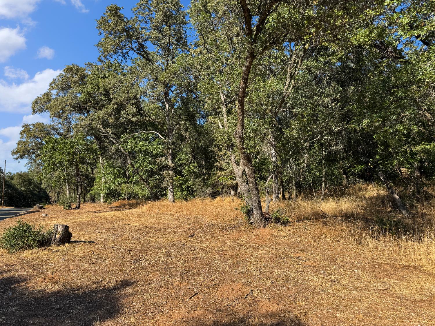 1001 Old Airport Road
