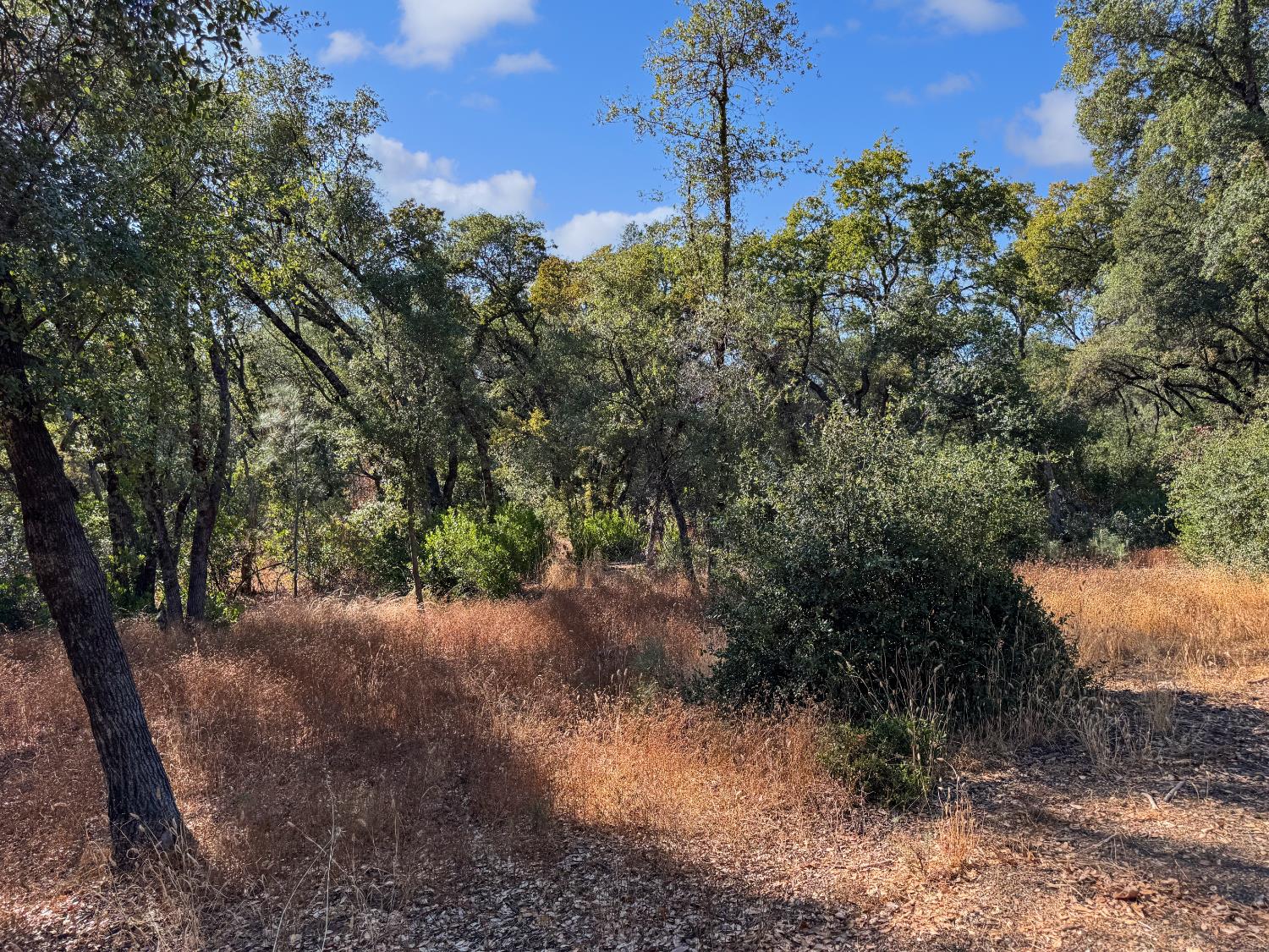 1001 Old Airport Road