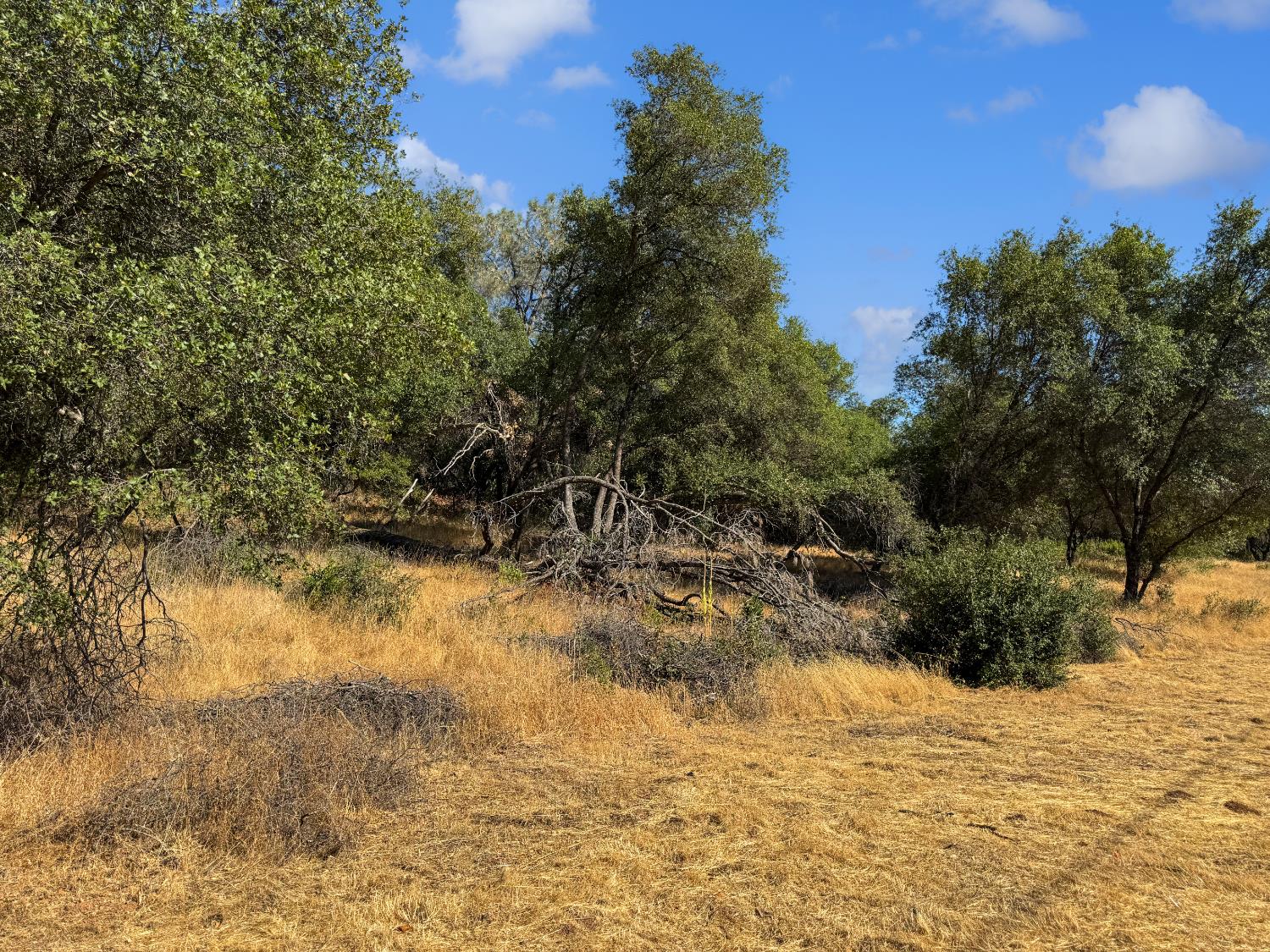1001 Old Airport Road