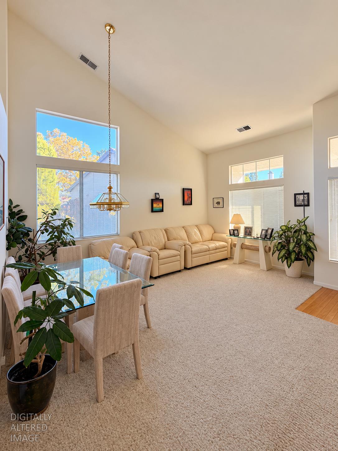 316 Jasmine Court