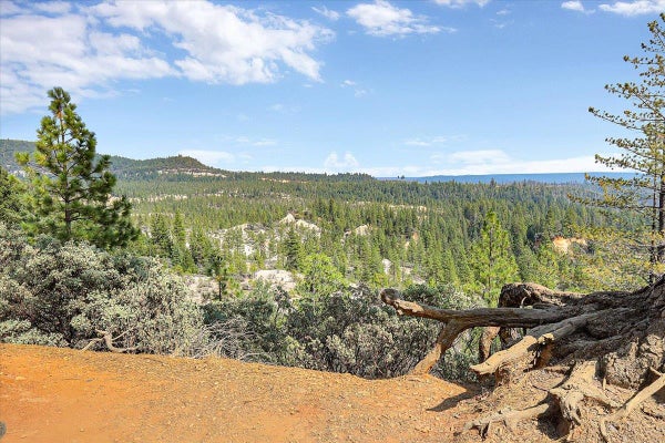 20710 CHALK BLUFF RD, GRASS VALLEY, CA 95945 - Image 2a2c3e84d9dff676f20b60d3d4e5df48/1132736450