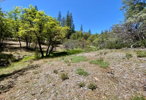 MLS: 225051259