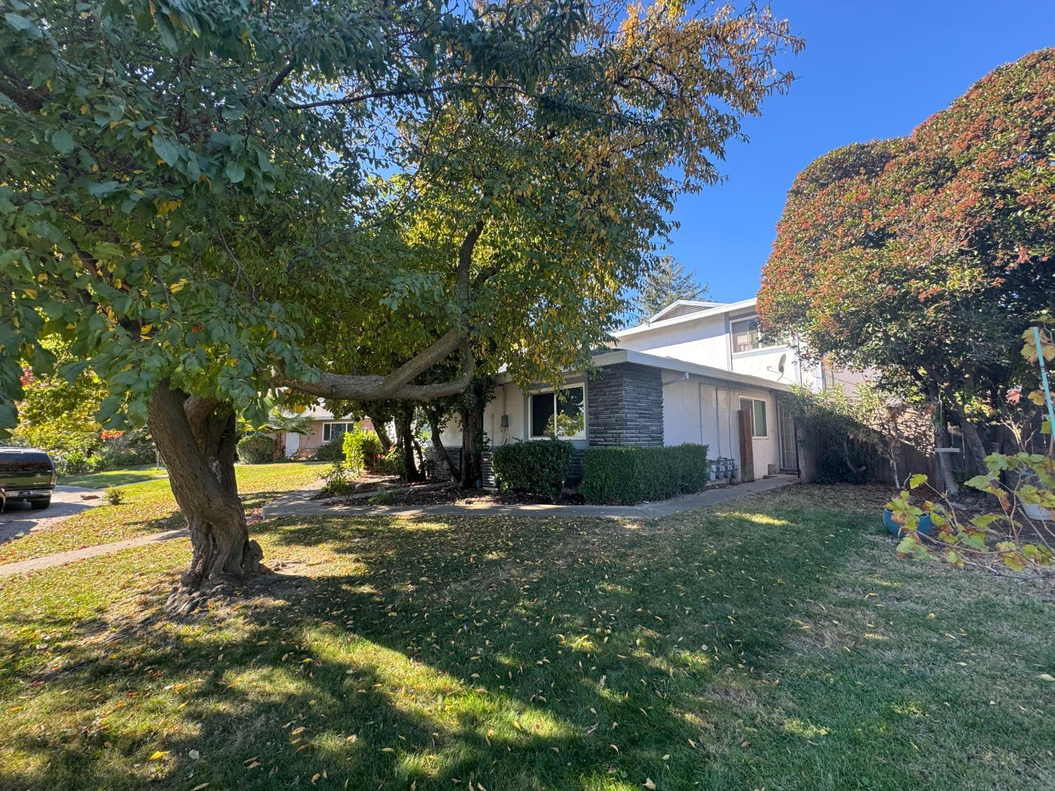805 Carro Drive