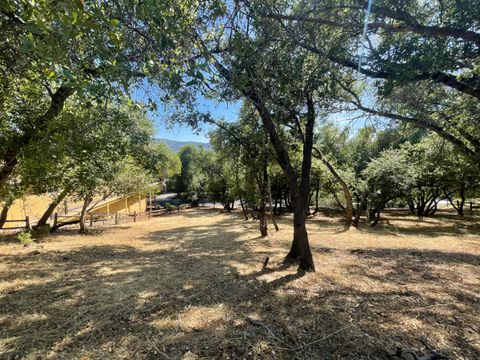 295 Mary Belle Way Angels Camp CA 95222