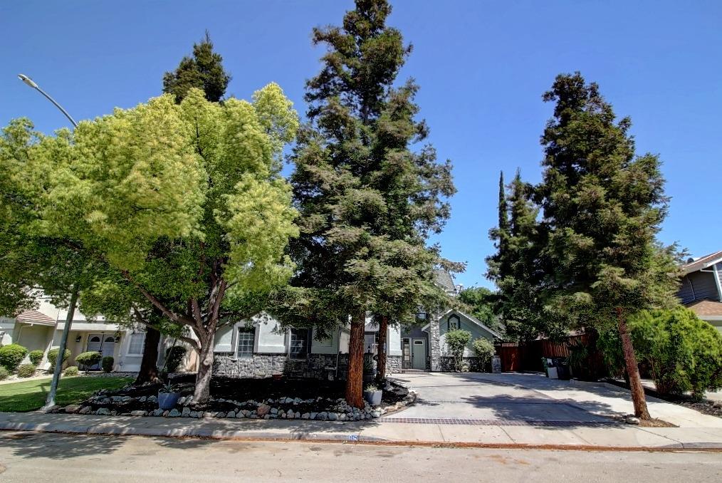 385 Cecelio Way