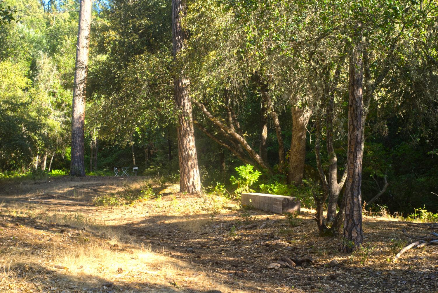 7771 Boondock Trail