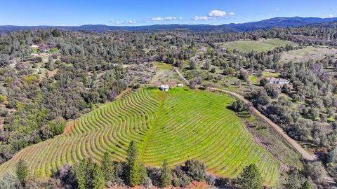 2400 Gravel Road, Placerville, CA 95667 - MLS#: 225041951