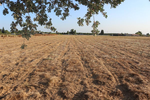 26304 E MAHON AVE, ESCALON, CA 95320 - Image 2c19d270683c62d5fca554dd04eeab1e/166476720