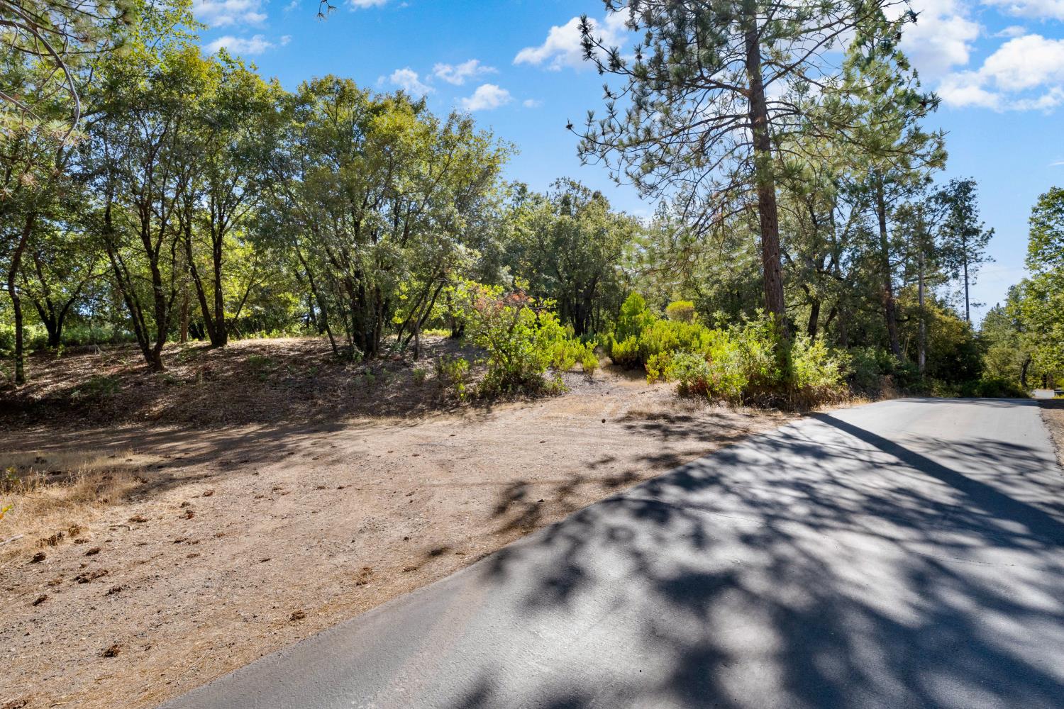 15178 Sutter Highlands Drive