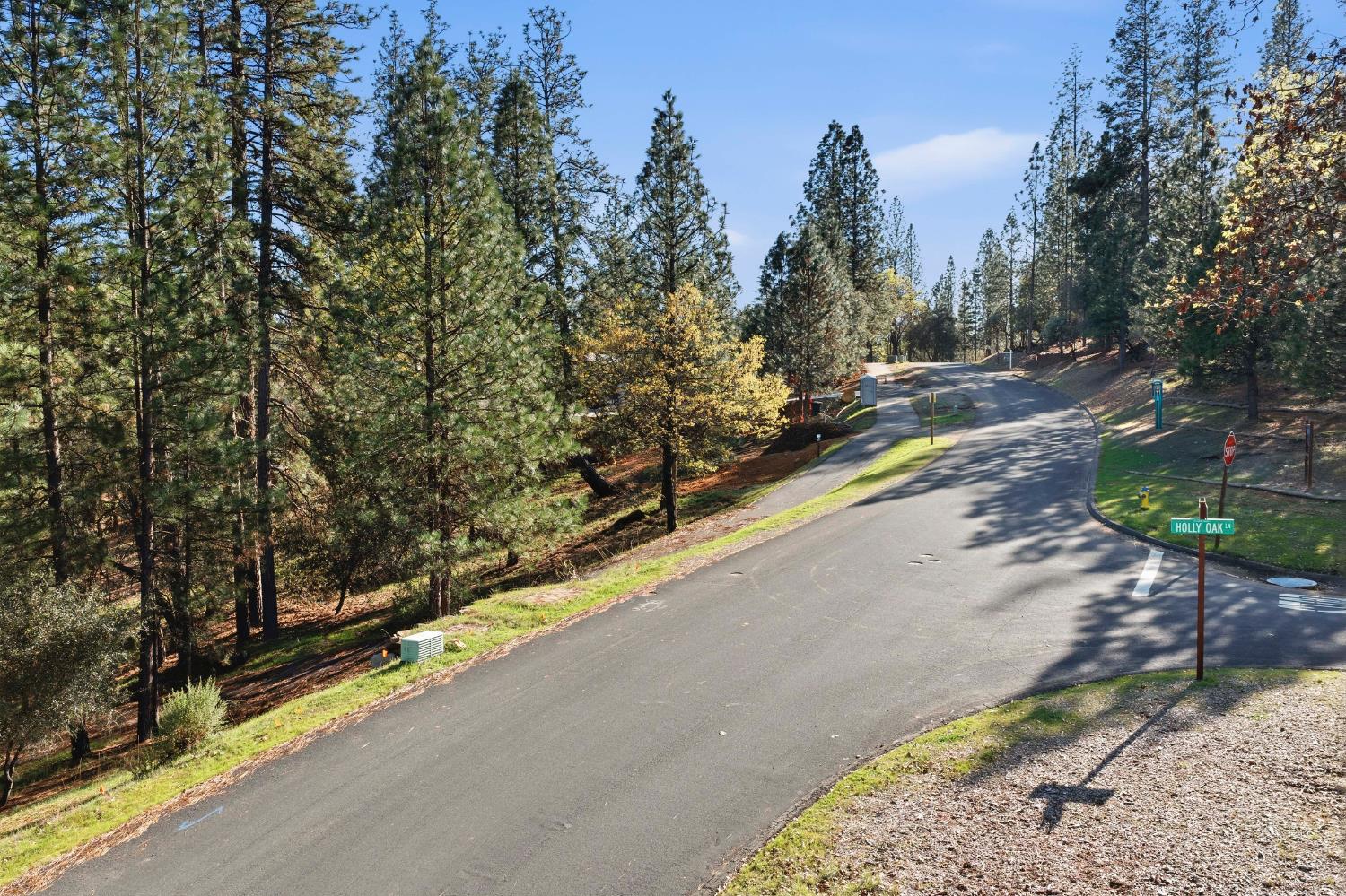 1642 The Point Road Lot 297