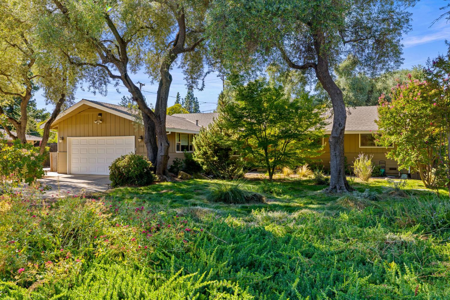 5001 Shamrock Drive