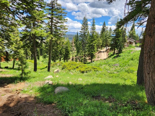 350 SNOWSHOE RD, BEAR VALLEY, CA 95223 - Image 2ce74f507ebf6f37b31e0aa4c70cecf5/3249366841