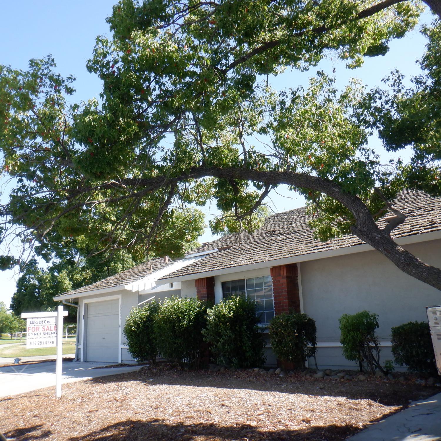 8425 vintage park dr.