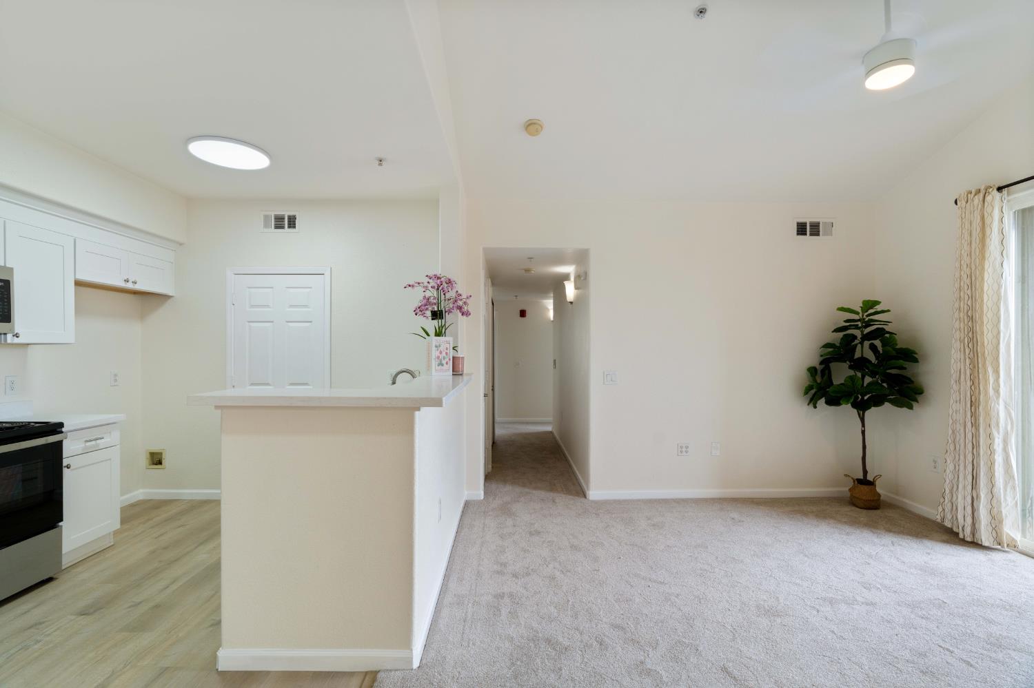 1251 Whitney Ranch Parkway #1236