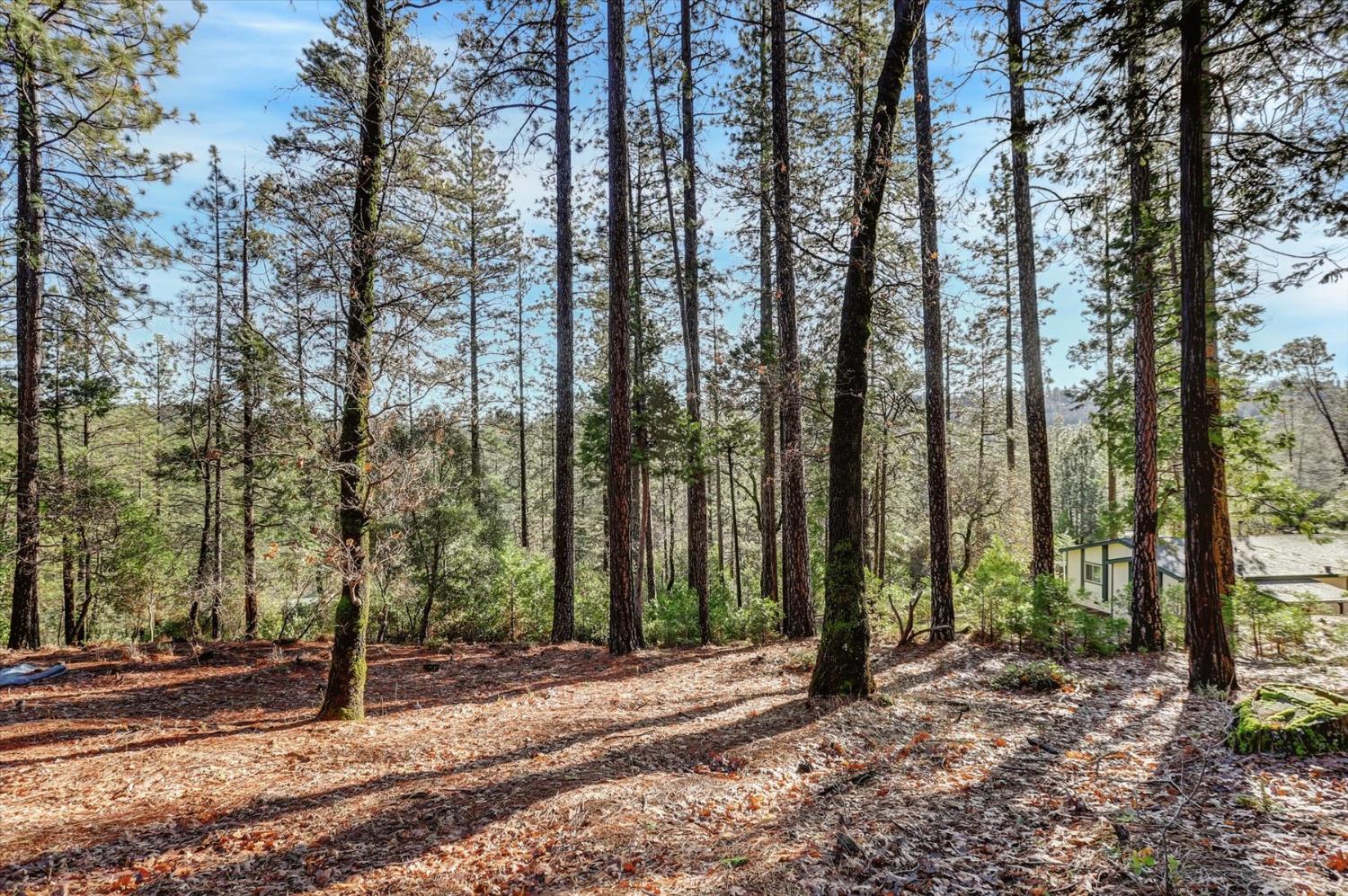 12776 Little Deer Creek Lane