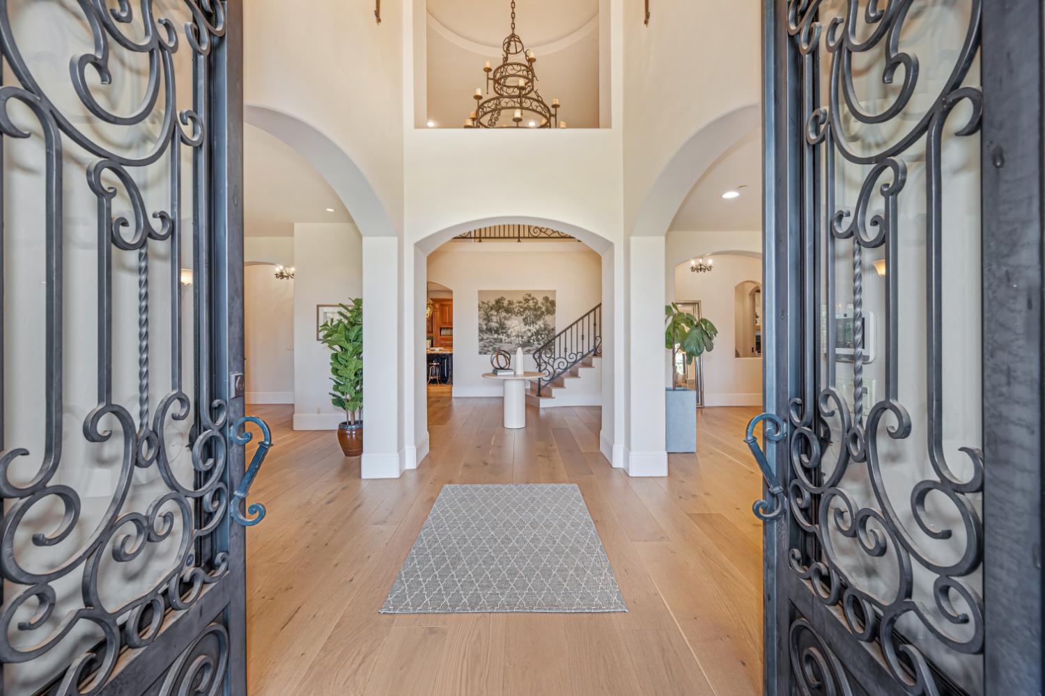 2020 Shady Trail Lane