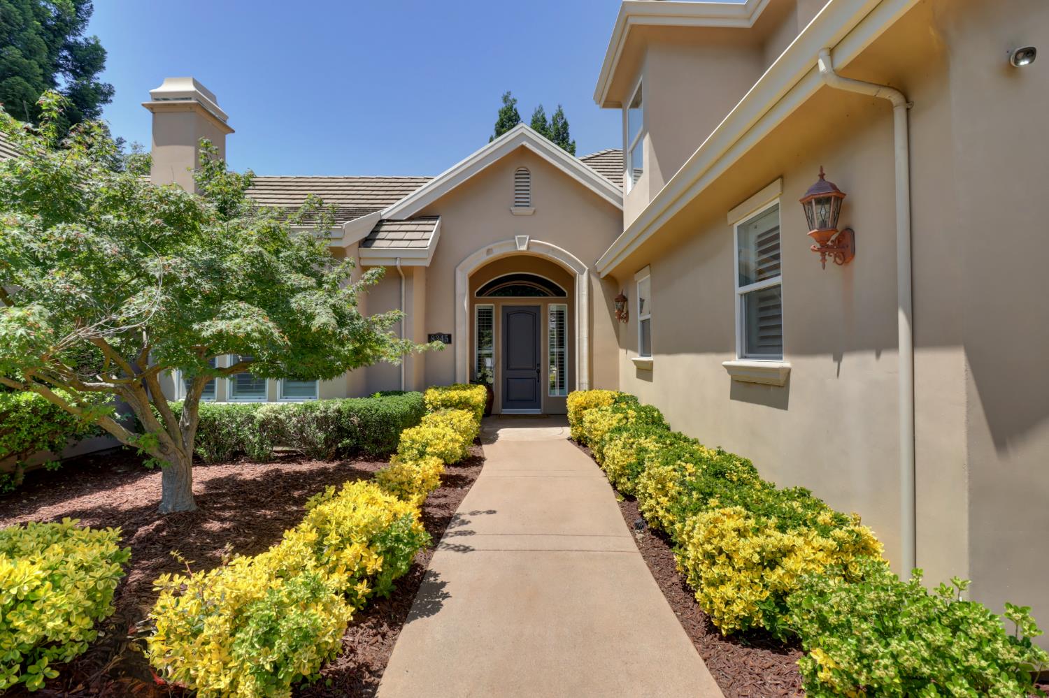 8345 Cedar Falls Court