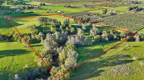 19890 County Road 79 Capay CA 95607